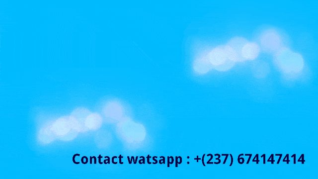 L'économie en un clic…